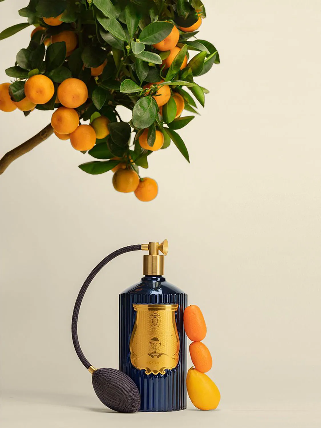 Calabrian Citrus Room Spray