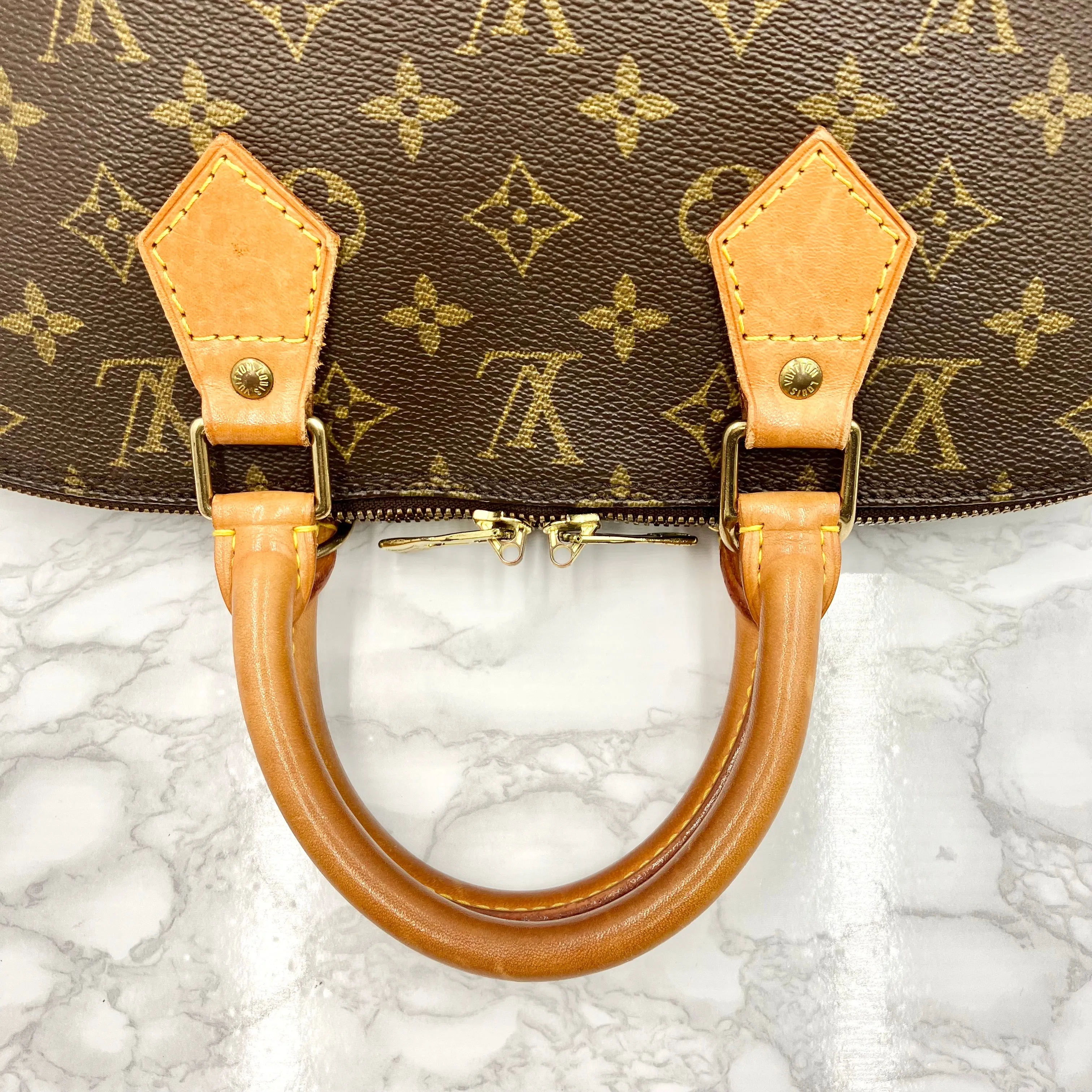 LOUIS VUITTON Monogram Alma PM